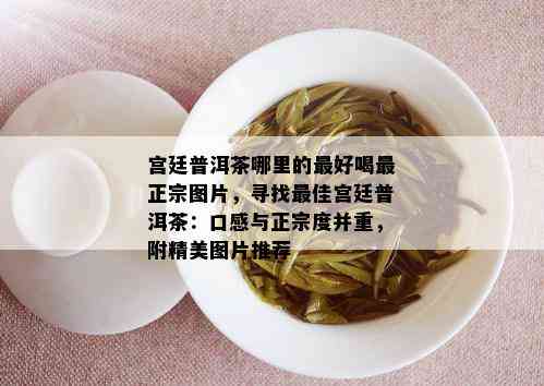 宫廷普洱茶哪里的更好喝最正宗图片，寻找更佳宫廷普洱茶：口感与正宗度并重，附精美图片推荐