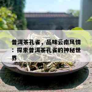 普洱茶孔雀，品味云南风情：探索普洱茶孔雀的神秘世界