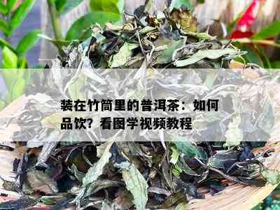 装在竹筒里的普洱茶：如何品饮？看图学视频教程