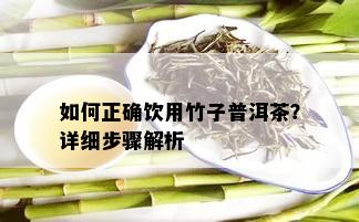 如何正确饮用竹子普洱茶？详细步骤解析