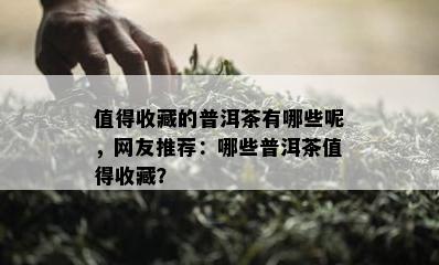 值得收藏的普洱茶有哪些呢，网友推荐：哪些普洱茶值得收藏？