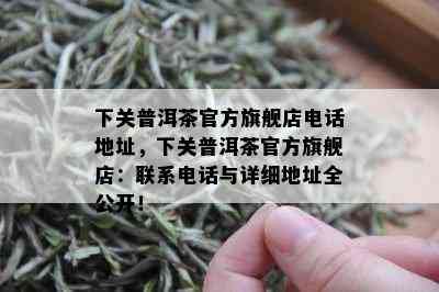 下关普洱茶官方旗舰店电话地址，下关普洱茶官方旗舰店：联系电话与详细地址全公开！