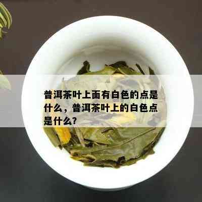 普洱茶叶上面有白色的点是什么，普洱茶叶上的白色点是什么？