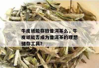 牛皮纸能存放普洱茶么，牛皮纸能否成为普洱茶的理想储存工具？