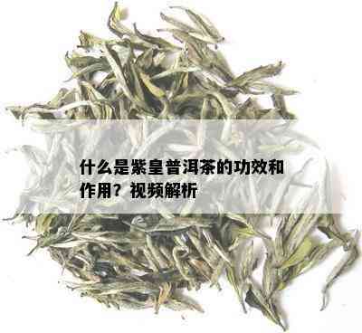 什么是紫皇普洱茶的功效和作用？视频解析