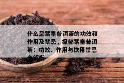 什么是紫皇普洱茶的功效和作用及禁忌，探秘紫皇普洱茶：功效、作用与饮用禁忌全解析