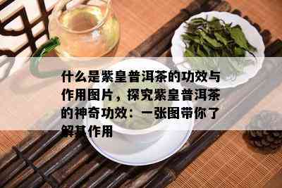 什么是紫皇普洱茶的功效与作用图片，探究紫皇普洱茶的神奇功效：一张图带你了解其作用