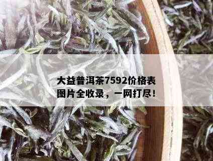 大益普洱茶7592价格表图片全收录，一网打尽！