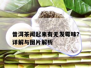 普洱茶闻起来有无发霉味？详解与图片解析