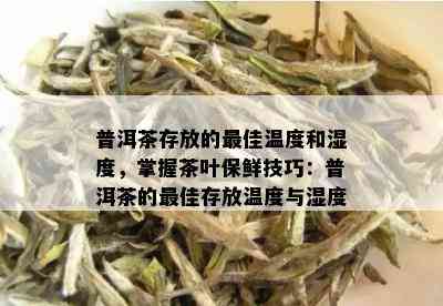 普洱茶存放的更佳温度和湿度，掌握茶叶保鲜技巧：普洱茶的更佳存放温度与湿度