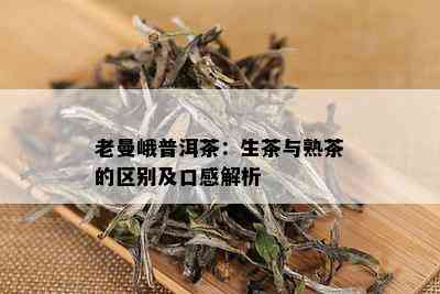 老曼峨普洱茶：生茶与熟茶的区别及口感解析