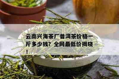 云南兴海茶厂普洱茶价格一斤多少钱？全网更低价揭晓！