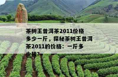 茶树王普洱茶2011价格多少一斤，探秘茶树王普洱茶2011的价格：一斤多少钱？