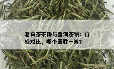 老白茶茶饼与普洱茶饼：口感对比，哪个更胜一筹？