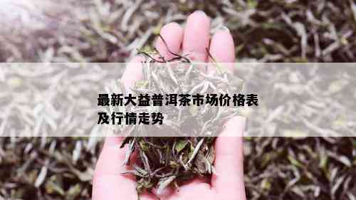 最新大益普洱茶市场价格表及行情走势