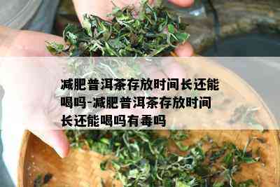 减肥普洱茶存放时间长还能喝吗-减肥普洱茶存放时间长还能喝吗有吗