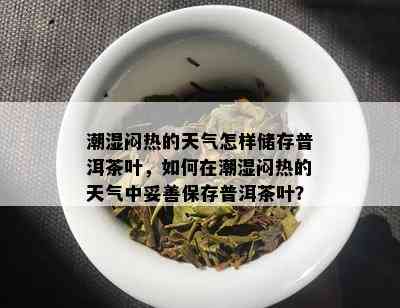 潮湿闷热的天气怎样储存普洱茶叶，如何在潮湿闷热的天气中妥善保存普洱茶叶？