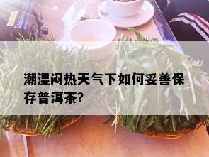 潮湿闷热天气下如何妥善保存普洱茶？