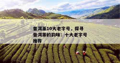 普洱茶10大老字号，探寻普洱茶的韵味：十大老字号推荐