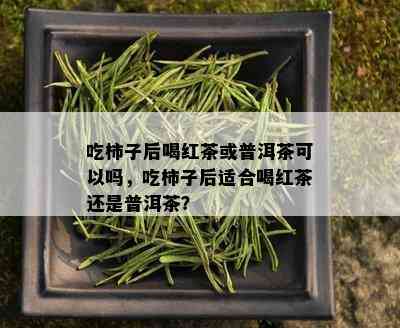 吃柿子后喝红茶或普洱茶可以吗，吃柿子后适合喝红茶还是普洱茶？