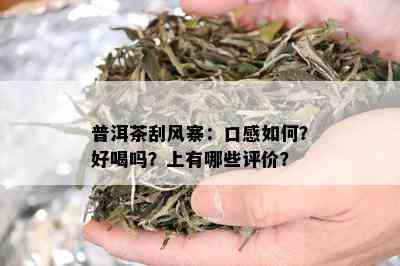 普洱茶刮风寨：口感如何？好喝吗？上有哪些评价？