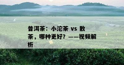 普洱茶：小沱茶 vs 散茶，哪种更好？——视频解析