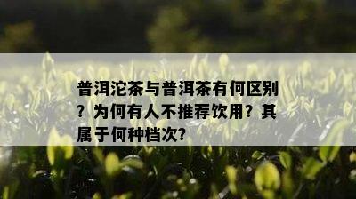 普洱沱茶与普洱茶有何区别？为何有人不推荐饮用？其属于何种档次？