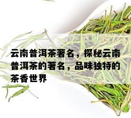 云南普洱茶著名，探秘云南普洱茶的著名，品味独特的茶香世界