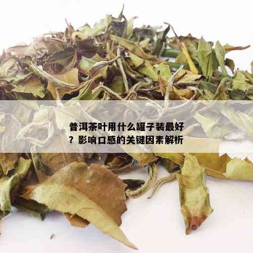 普洱茶叶用什么罐子装更好？影响口感的关键因素解析