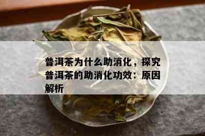 普洱茶为什么助消化，探究普洱茶的助消化功效：原因解析