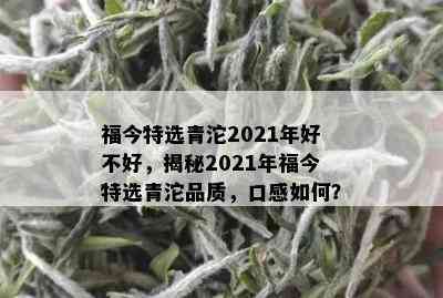 福今特选青沱2021年好不好，揭秘2021年福今特选青沱品质，口感如何？