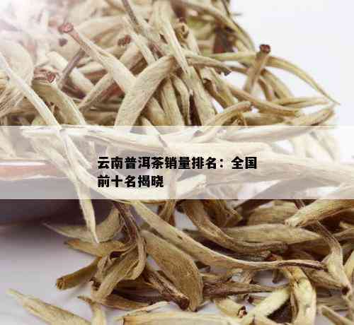 云南普洱茶销量排名：全国前十名揭晓