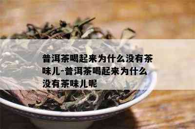 普洱茶喝起来为什么没有茶味儿-普洱茶喝起来为什么没有茶味儿呢