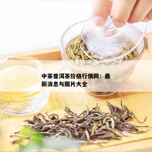 中茶普洱茶价格行情网：最新消息与图片大全