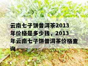 云南七子饼普洱茶2013年价格是多少钱，2013年云南七子饼普洱茶价格查询