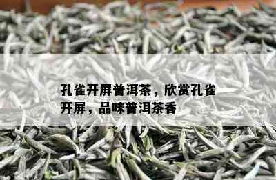 孔雀开屏普洱茶，欣赏孔雀开屏，品味普洱茶香