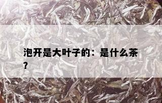 泡开是大叶子的：是什么茶？