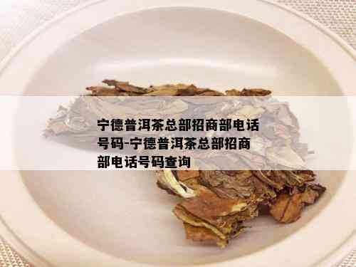 宁德普洱茶总部招商部电话号码-宁德普洱茶总部招商部电话号码查询