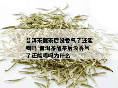 普洱茶醒茶后没香气了还能喝吗-普洱茶醒茶后没香气了还能喝吗为什么