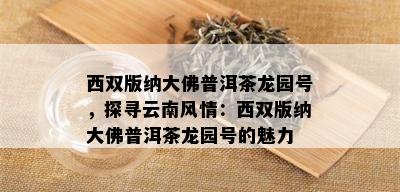 西双版纳大佛普洱茶龙园号，探寻云南风情：西双版纳大佛普洱茶龙园号的魅力