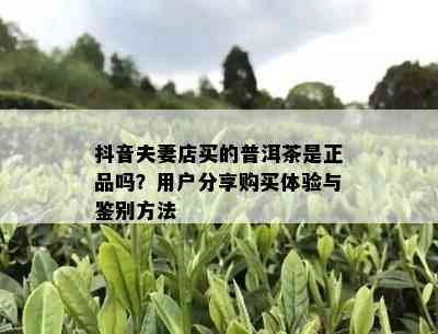 抖音夫妻店买的普洱茶是正品吗？用户分享购买体验与鉴别方法