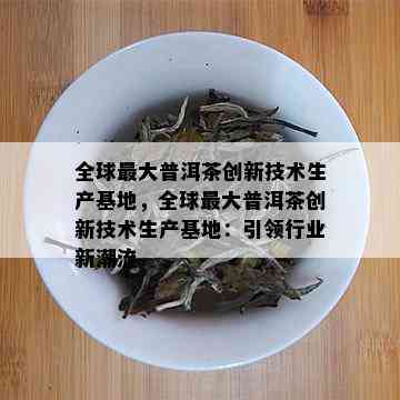 全球更大普洱茶创新技术生产基地，全球更大普洱茶创新技术生产基地：引领行业新潮流