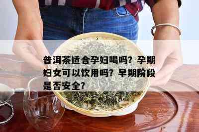 普洱茶适合孕妇喝吗？孕期妇女可以饮用吗？早期阶段是否安全？