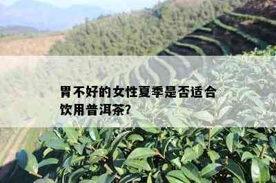 胃不好的女性夏季是否适合饮用普洱茶？