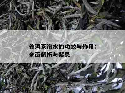 普洱茶泡水的功效与作用：全面解析与禁忌