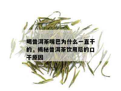 喝普洱茶嘴巴为什么一直干的，揭秘普洱茶饮用后的口干原因