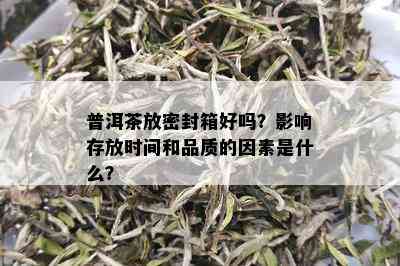 普洱茶放密封箱好吗？影响存放时间和品质的因素是什么？