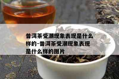 普洱茶受潮现象表现是什么样的-普洱茶受潮现象表现是什么样的图片