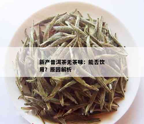 新产普洱茶无茶味：能否饮用？原因解析