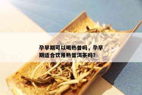 孕早期可以喝熟普吗，孕早期适合饮用熟普洱茶吗？